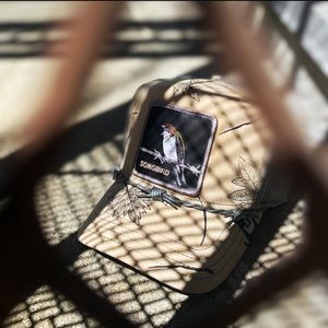 GUC ... Limited Edition Goorin Brothers Songbird Trucker Hat